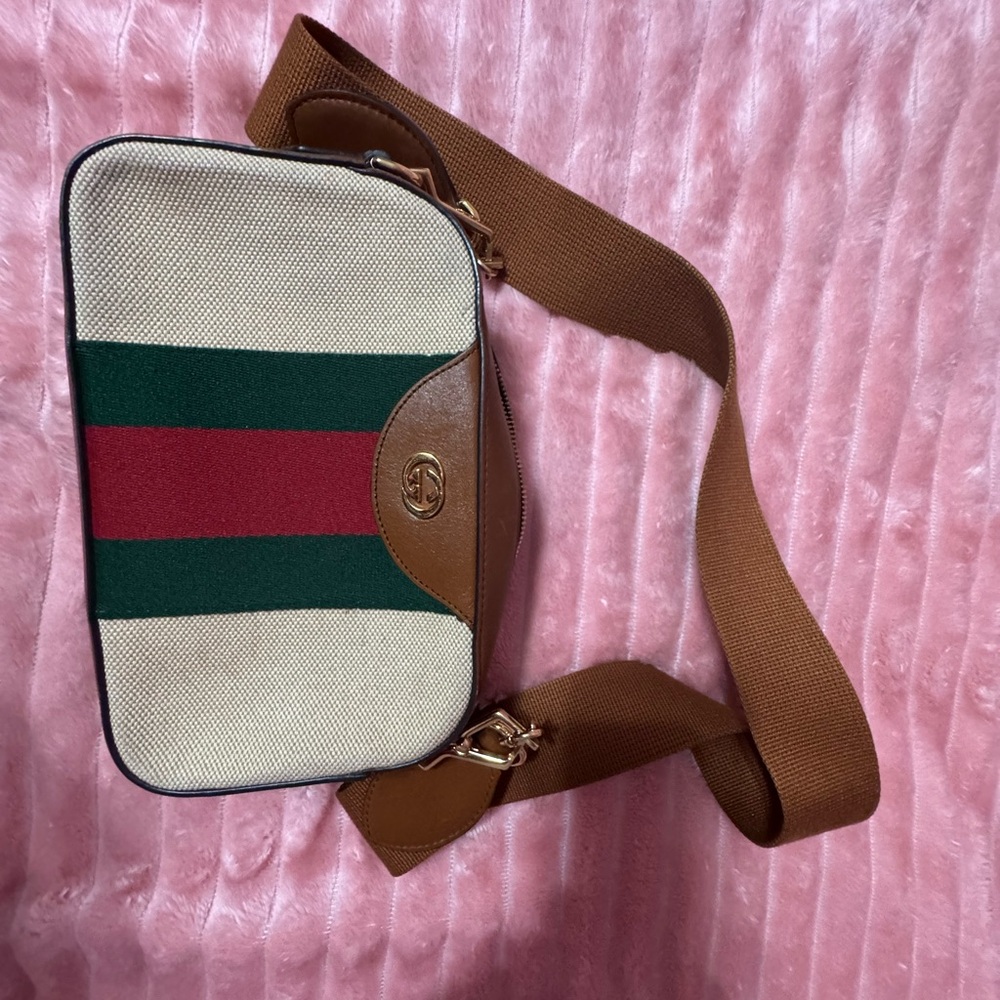 Gucci Camera bag